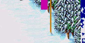 Winter Olympic Games: Lillehammer '94 SNES Screenshot
