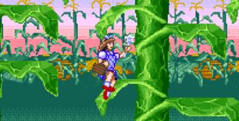 Wizard of Oz SNES Screenshot