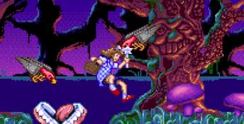 Wizard of Oz SNES Screenshot