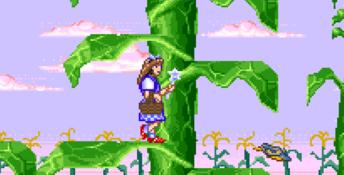 Wizard of Oz SNES Screenshot