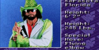 WWF Royal Rumble SNES Screenshot