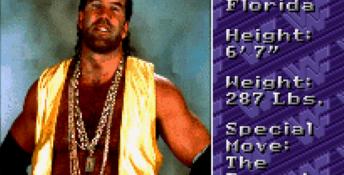 WWF Royal Rumble SNES Screenshot