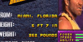 WWF Wrestlemania: The Arcade Game SNES Screenshot