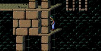 Prince Of Persia TurboDuo Screenshot