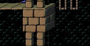 Prince Of Persia TurboDuo Screenshot