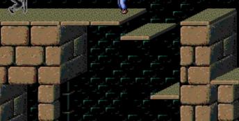 Prince Of Persia TurboDuo Screenshot