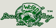 World Beach Volley: 1991 GB Cup
